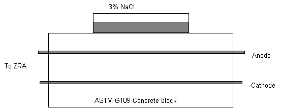 apn-conc2.gif (2759 bytes)