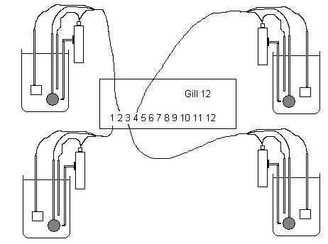 apn-inhib2.gif (6439 bytes)
