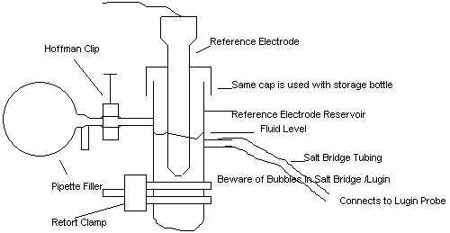 re.gif (3664 bytes)
